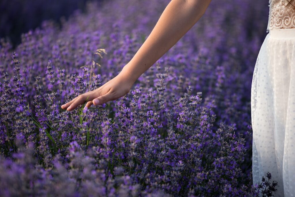 Herbs menopause