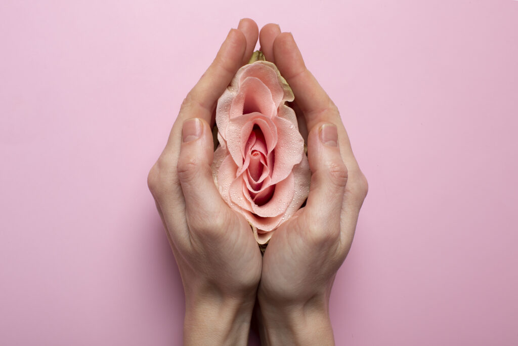 Rose symbolizing a vagina in menopause