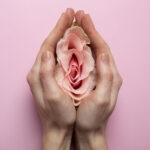 Rose symbolizing a vagina in menopause